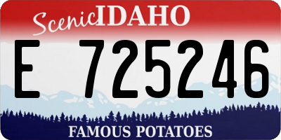 ID license plate E725246