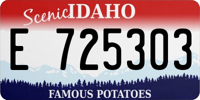 ID license plate E725303