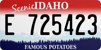 ID license plate E725423