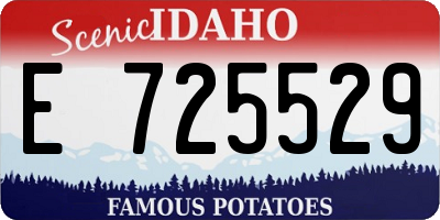 ID license plate E725529