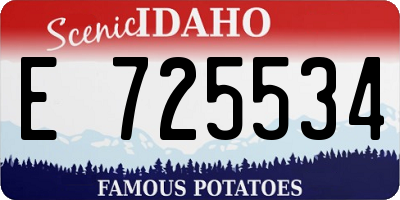 ID license plate E725534