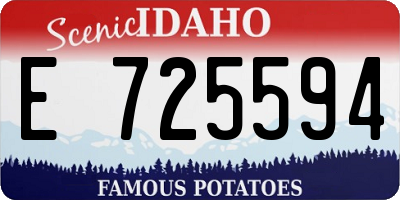 ID license plate E725594