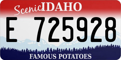 ID license plate E725928