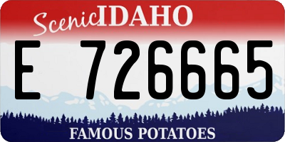 ID license plate E726665
