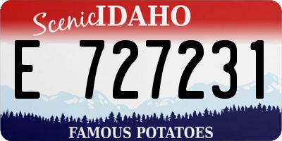 ID license plate E727231