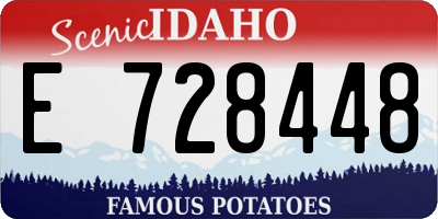 ID license plate E728448