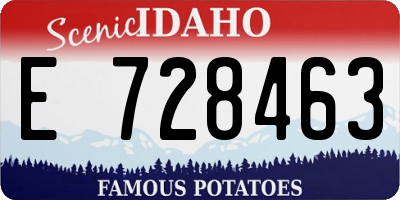 ID license plate E728463