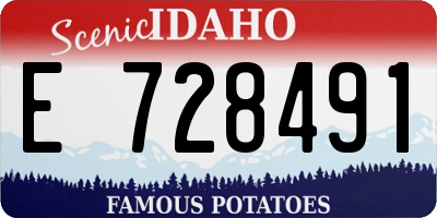 ID license plate E728491