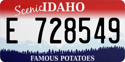 ID license plate E728549