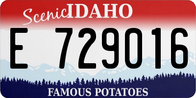 ID license plate E729016