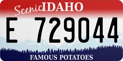 ID license plate E729044