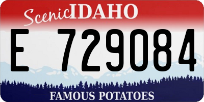 ID license plate E729084