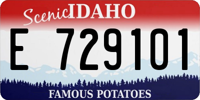 ID license plate E729101
