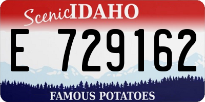 ID license plate E729162