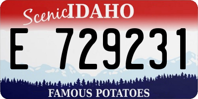 ID license plate E729231