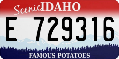 ID license plate E729316