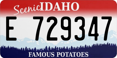 ID license plate E729347