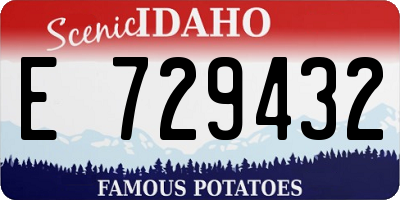 ID license plate E729432