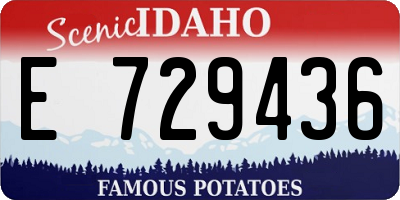 ID license plate E729436