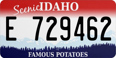 ID license plate E729462