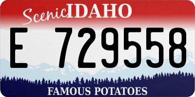 ID license plate E729558