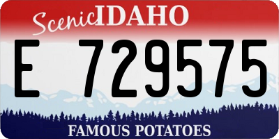 ID license plate E729575