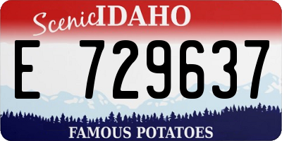 ID license plate E729637