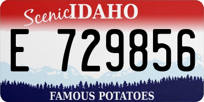 ID license plate E729856