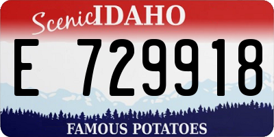 ID license plate E729918