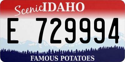 ID license plate E729994