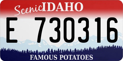 ID license plate E730316