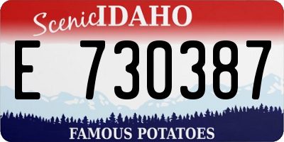 ID license plate E730387
