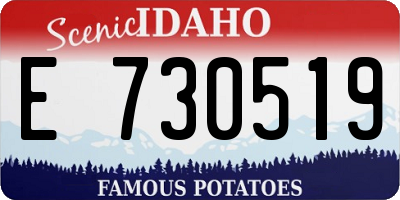 ID license plate E730519