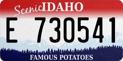 ID license plate E730541