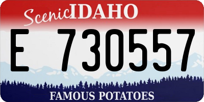 ID license plate E730557