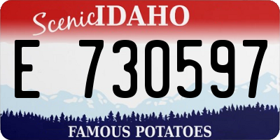 ID license plate E730597