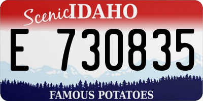 ID license plate E730835
