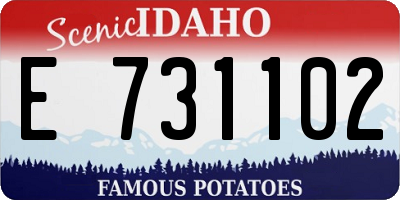 ID license plate E731102