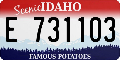 ID license plate E731103