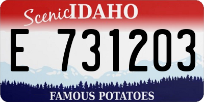 ID license plate E731203