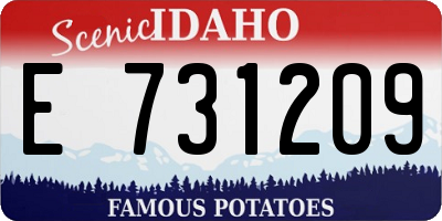 ID license plate E731209