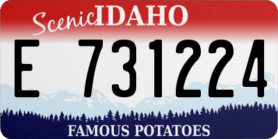 ID license plate E731224