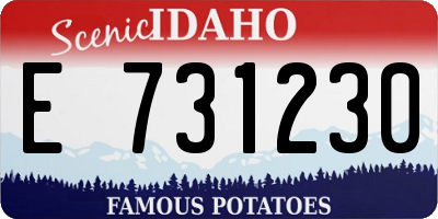 ID license plate E731230