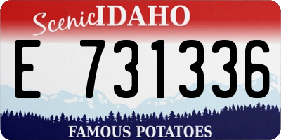ID license plate E731336