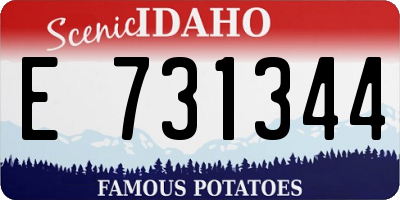 ID license plate E731344