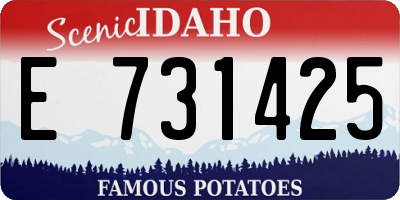 ID license plate E731425