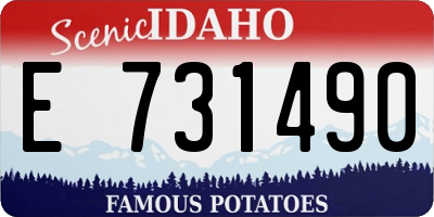 ID license plate E731490