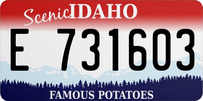 ID license plate E731603