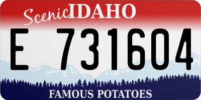 ID license plate E731604