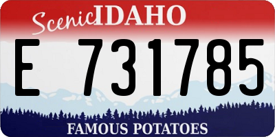 ID license plate E731785